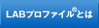 LABプロファイル（NLPメタプログラム）とは